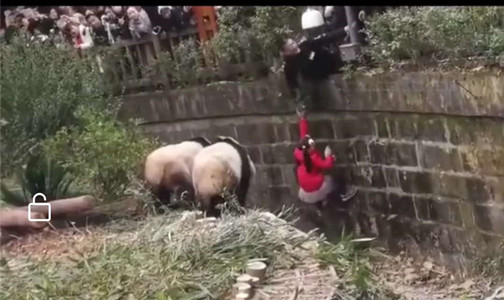 微信图片_20190314132731_副本.jpg
