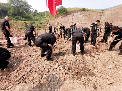 种下心愿.jpg 种下心愿.jpg