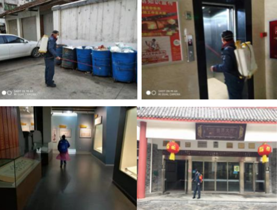 图片95_副本.png